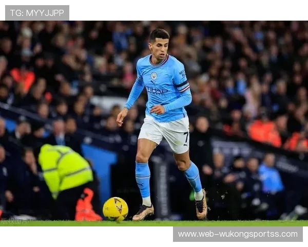 坎塞洛传球分布更分散，哈兰德射门效率偏向单点驱动